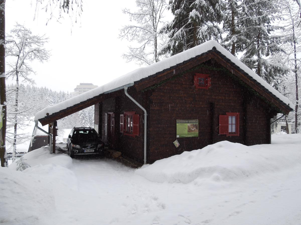Blockhaus Bodefall Браунлаге Екстериор снимка